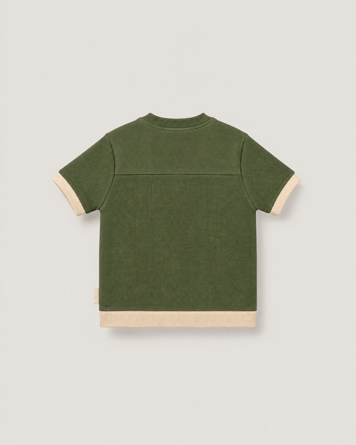 The Block Tee in Moss — back
